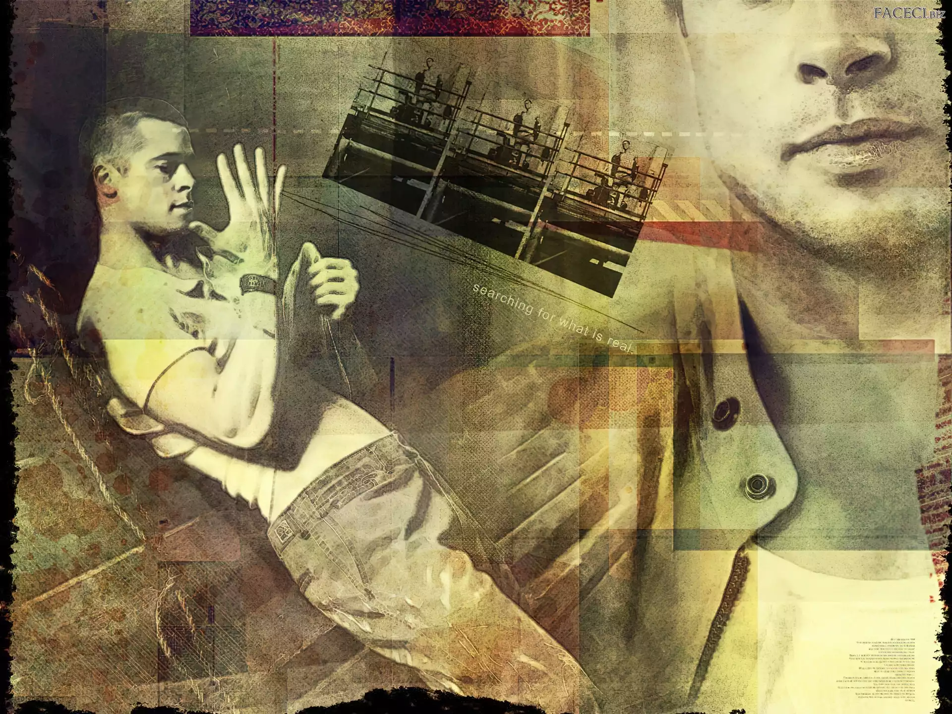 włosy, Brad Pitt, krótkie